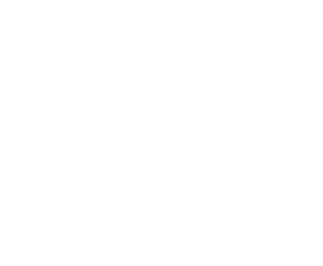 Aliya Cocktail Den